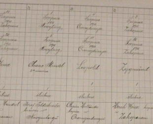 Entry in the birth book of Leopold Holl&auml;nder, brother of Wilhelm, 1911