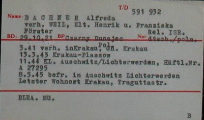 Nowe dokumenty dotyczące Alfredy Bachner